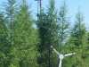 IMG-20250619-WA0005